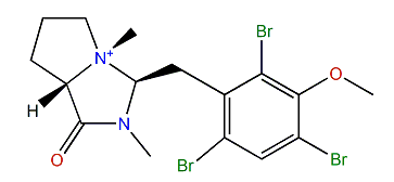Wilsoniamine B